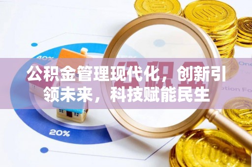 武陵公积金管理现代化，创新引领未来，科技赋能民生
