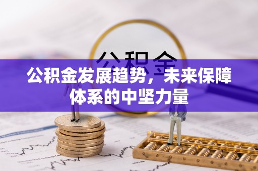 武陵公积金发展趋势，未来保障体系的中坚力量
