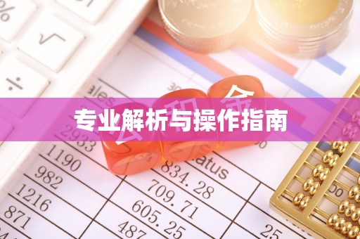 武陵专业解析与操作指南