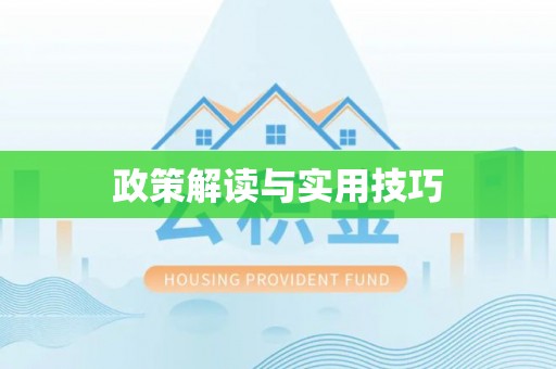 武陵政策解读与实用技巧