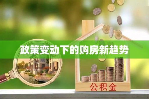 武陵政策变动下的购房新趋势