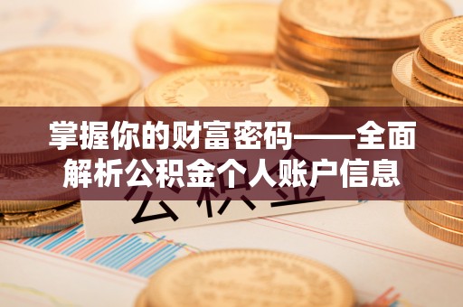 武陵掌握你的财富密码——全面解析公积金个人账户信息