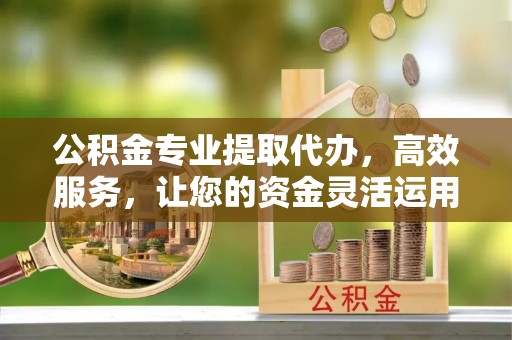 武陵公积金专业提取代办，高效服务，让您的资金灵活运用