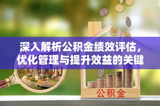 武陵深入解析公积金绩效评估，优化管理与提升效益的关键路径