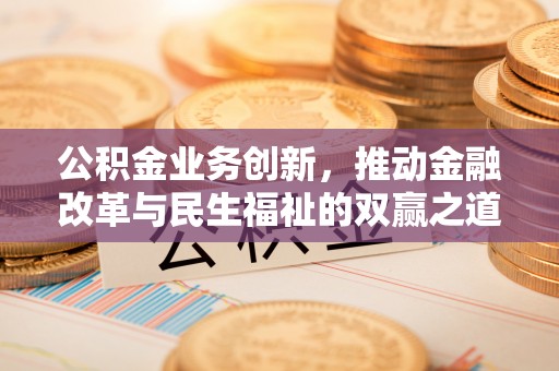 武陵公积金业务创新，推动金融改革与民生福祉的双赢之道