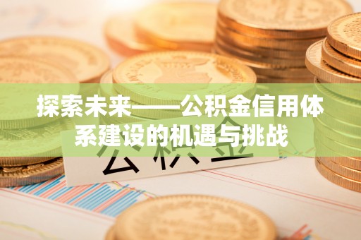 武陵探索未来——公积金信用体系建设的机遇与挑战