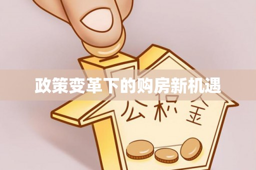 武陵政策变革下的购房新机遇