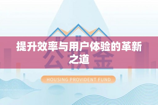 武陵提升效率与用户体验的革新之道