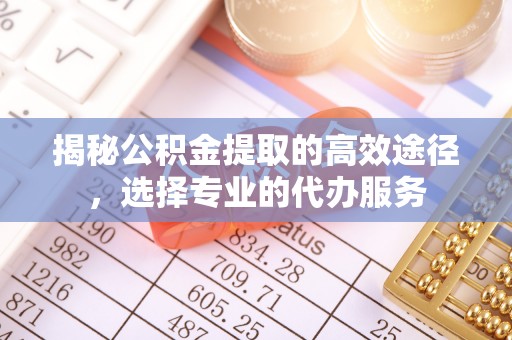 武陵揭秘公积金提取的高效途径，选择专业的代办服务