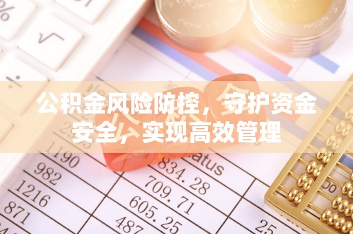 武陵公积金风险防控，守护资金安全，实现高效管理