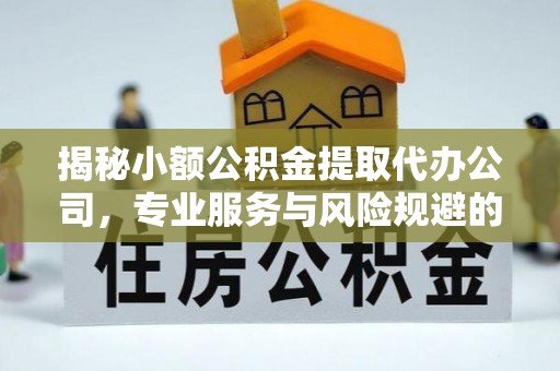 武陵揭秘小额公积金提取代办公司，专业服务与风险规避的平衡艺术
