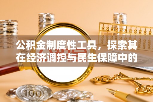 武陵公积金制度性工具，探索其在经济调控与民生保障中的重要作用
