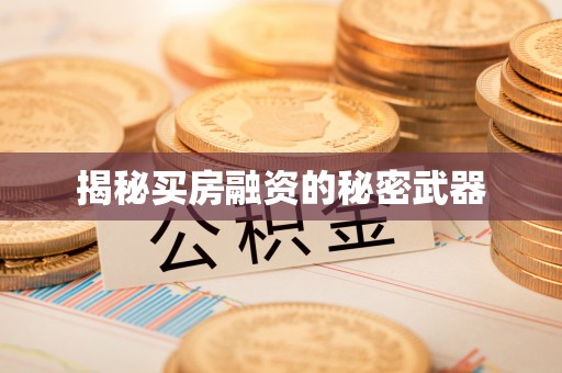武陵揭秘买房融资的秘密武器