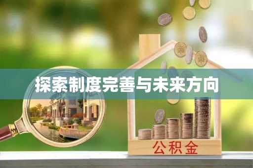武陵探索制度完善与未来方向