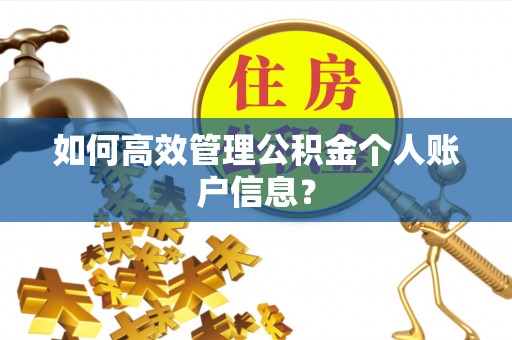 武陵如何高效管理公积金个人账户信息？