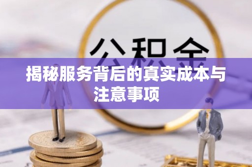 武陵揭秘服务背后的真实成本与注意事项
