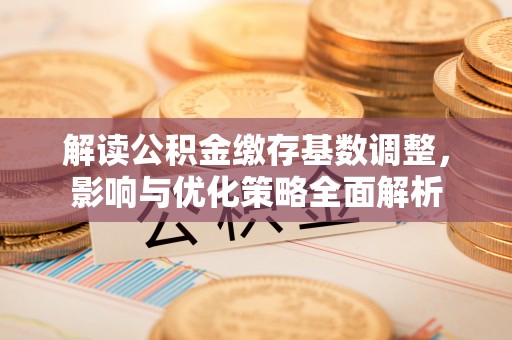 武陵解读公积金缴存基数调整，影响与优化策略全面解析