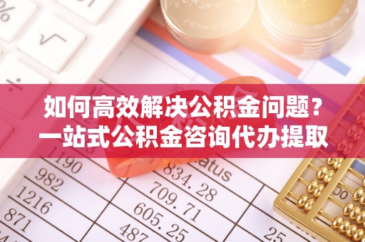 武陵如何高效解决公积金问题？一站式公积金咨询代办提取服务全解析