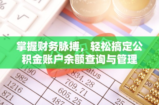武陵掌握财务脉搏，轻松搞定公积金账户余额查询与管理