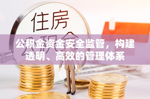 武陵公积金资金安全监管，构建透明、高效的管理体系