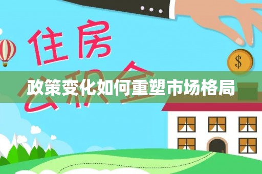 武陵政策变化如何重塑市场格局