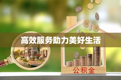 武陵高效服务助力美好生活