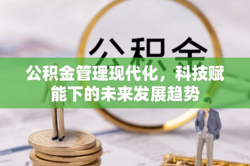 武陵公积金管理现代化，科技赋能下的未来发展趋势