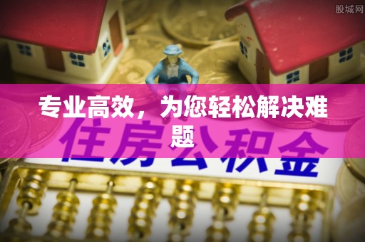 武陵专业高效，为您轻松解决难题