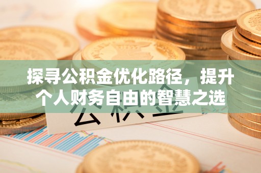 武陵探寻公积金优化路径，提升个人财务自由的智慧之选