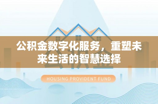 武陵公积金数字化服务，重塑未来生活的智慧选择