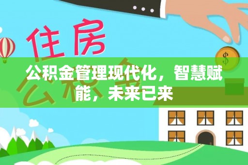 武陵公积金管理现代化，智慧赋能，未来已来