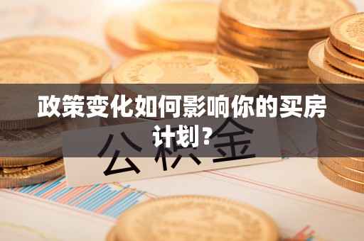 武陵政策变化如何影响你的买房计划？