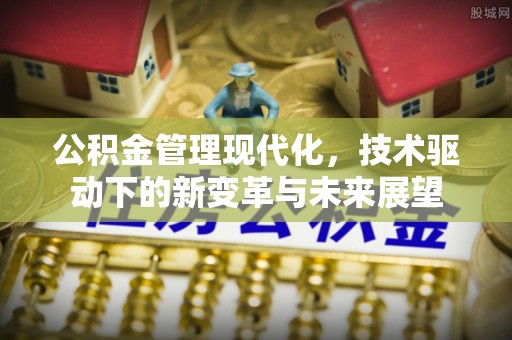 武陵公积金管理现代化，技术驱动下的新变革与未来展望