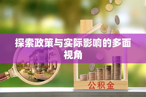武陵探索政策与实际影响的多面视角