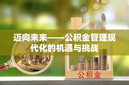 武陵迈向未来——公积金管理现代化的机遇与挑战
