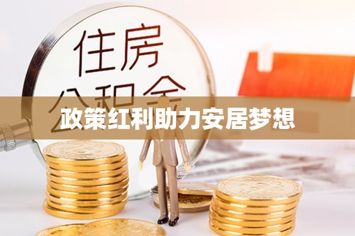武陵政策红利助力安居梦想