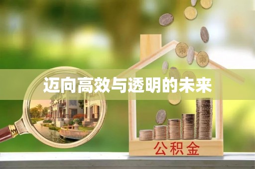 武陵迈向高效与透明的未来