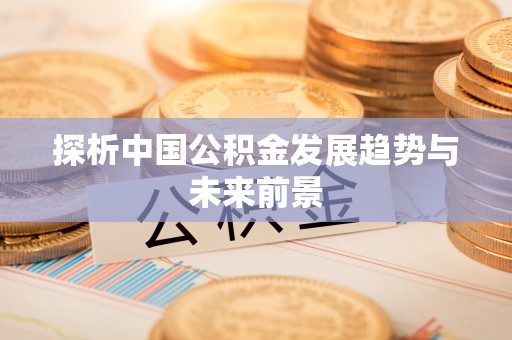 武陵探析中国公积金发展趋势与未来前景
