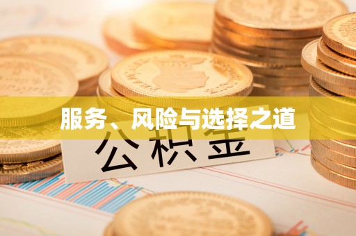 武陵服务、风险与选择之道