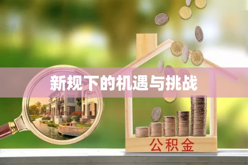 武陵新规下的机遇与挑战