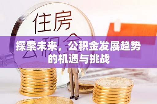 武陵探索未来，公积金发展趋势的机遇与挑战