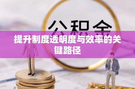 武陵提升制度透明度与效率的关键路径