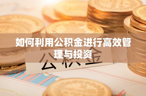 武陵如何利用公积金进行高效管理与投资