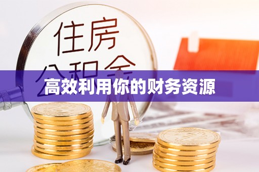 武陵高效利用你的财务资源
