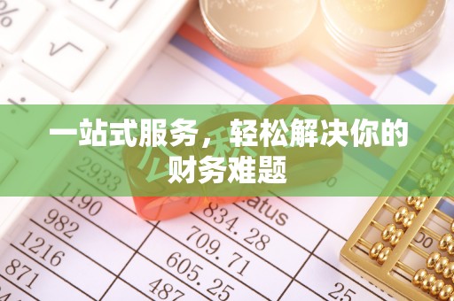 武陵一站式服务，轻松解决你的财务难题