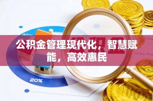 武陵公积金管理现代化，智慧赋能，高效惠民