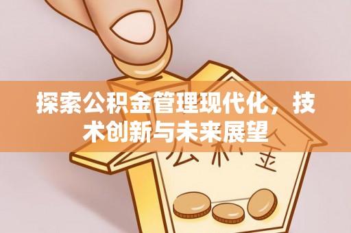 武陵探索公积金管理现代化，技术创新与未来展望
