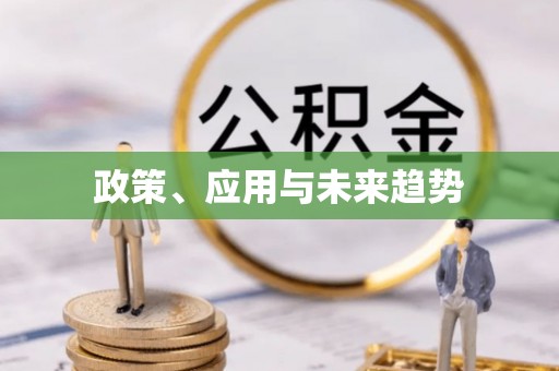 武陵政策、应用与未来趋势