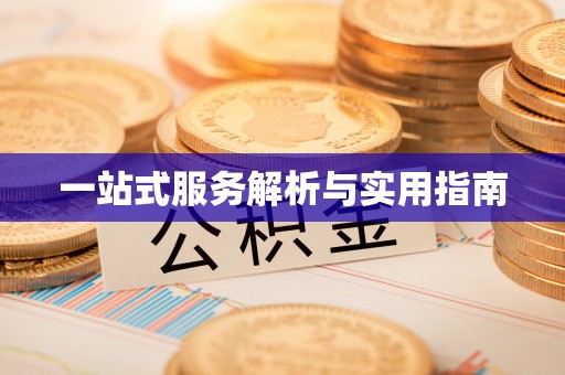 武陵一站式服务解析与实用指南
