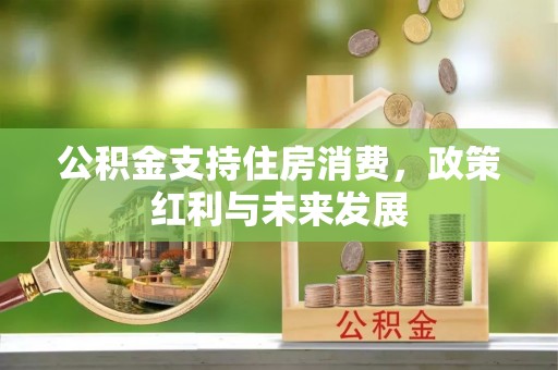 武陵公积金支持住房消费，政策红利与未来发展